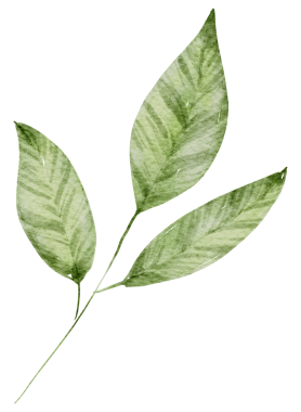 Yeşil Yaprak Suluboya