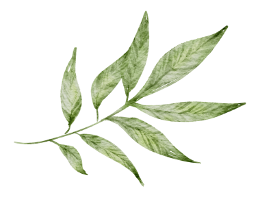 Yeşil Yaprak Suluboya