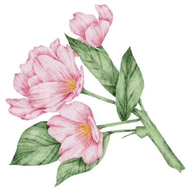 Çiçek elementi suluboya düğün çiçeği