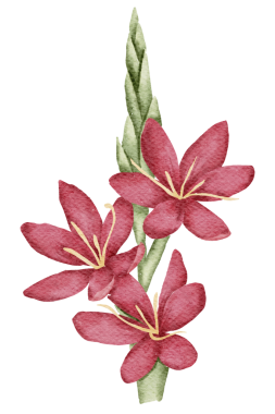 Çiçek elementi suluboya düğün çiçeği