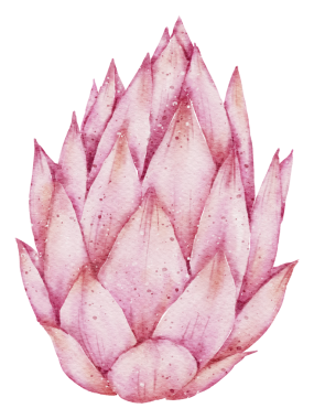 Çiçek elementi suluboya düğün çiçeği