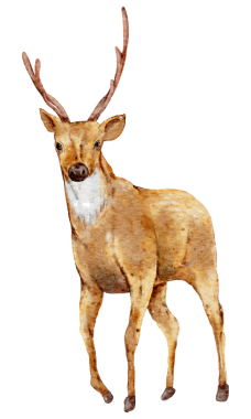 Noel elementi suluboya el boyası