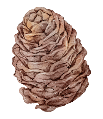 Noel elementi suluboya el boyası