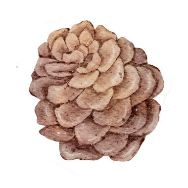 Noel elementi suluboya el boyası