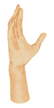 Suluboya eller el boyası