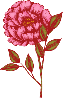 El çizimi çiçek ve yaprak