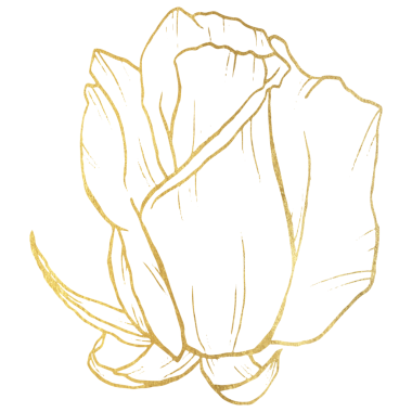 Altın çizgili Gül Çiçeği