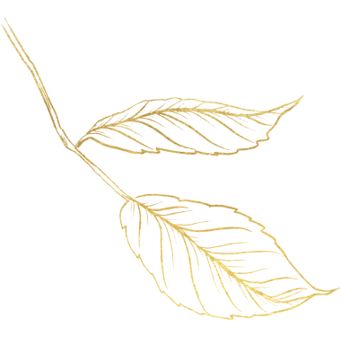 Altın çizgili Gül Çiçeği