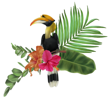 Kuş suluboya el boyalı tropikal kompozisyon