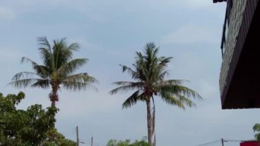 Küçük Liuqiu 'nun en iyi manzarası.