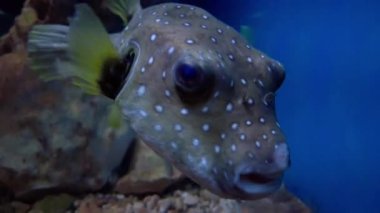 Küçük Liuqiu 'nun en iyi manzarası.