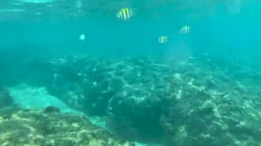 Küçük Liuqiu 'nun en iyi manzarası.