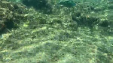 Küçük Liuqiu 'nun en iyi manzarası.