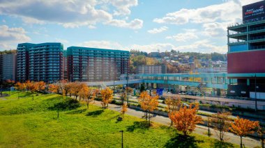 Otaru 'nun en iyi manzarası.