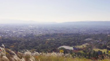 Nara 'nın en iyi manzarası.