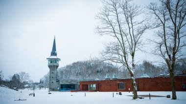 Hokkaido 'nun en iyi manzarası.