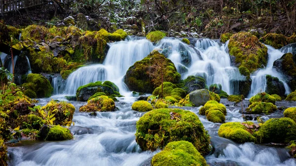 Hokkaido 'nun en iyi manzarası.