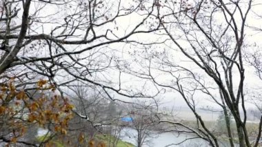 Hokkaido 'nun en iyi manzarası.