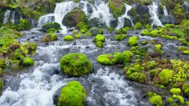 Hokkaido 'nun en iyi manzarası.