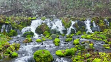 Hokkaido 'nun en iyi manzarası.