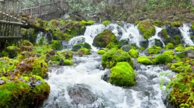 Hokkaido 'nun en iyi manzarası.