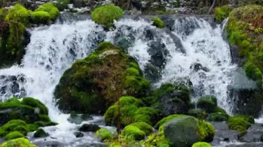 Hokkaido 'nun en iyi manzarası.