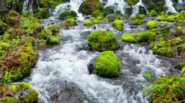 Hokkaido 'nun en iyi manzarası.