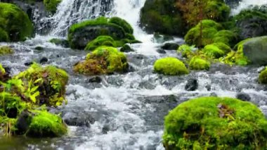 Hokkaido 'nun en iyi manzarası.