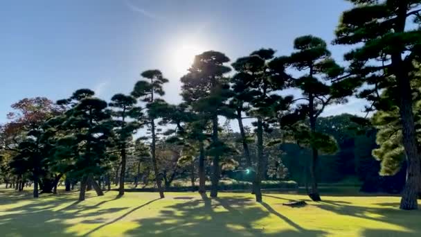 东京最美的风景 — 图库视频影像