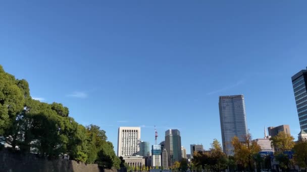 도쿄에서 아름다운 — 비디오