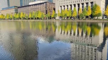 Tokyo 'nun en iyi manzarası.