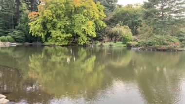 Tokyo 'nun en iyi manzarası.
