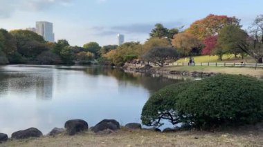 Tokyo 'nun en iyi manzarası.