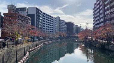 Tokyo 'nun en iyi manzarası.