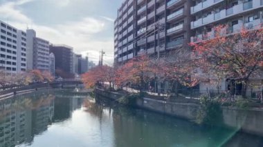 Yokohama 'nın en iyi manzarası.