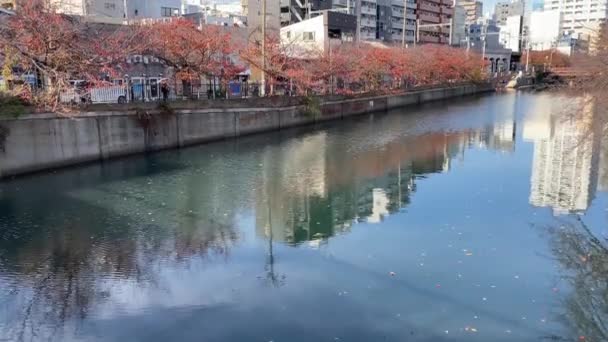 Найкращий Вид Йокогаму — стокове відео