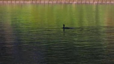 The beautiful view in Osaka