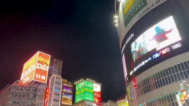 Tokyo 'nun en iyi manzarası.