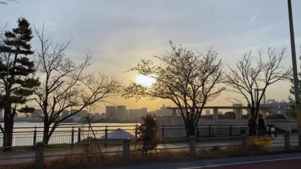 도쿄에서 아름다운 — 비디오