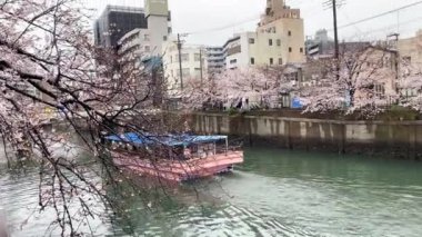 Yokohama 'nın en iyi manzarası.