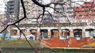 Yokohama 'nın en iyi manzarası.