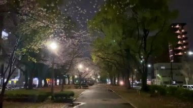 Yokohama 'nın en iyi manzarası.