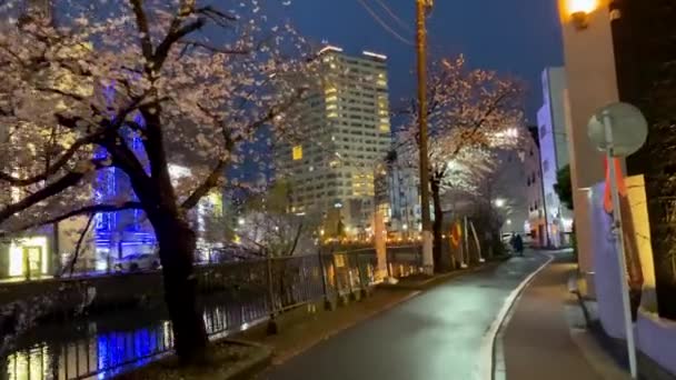 Bästa Utsikten Yokohama — Stockvideo