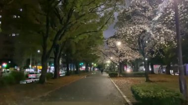 Yokohama 'nın en iyi manzarası.