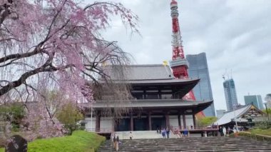 Tokyo 'nun en iyi manzarası.