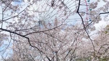 Tokyo 'nun en iyi manzarası.