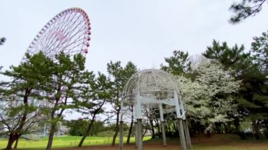 Tokyo 'nun en iyi manzarası.