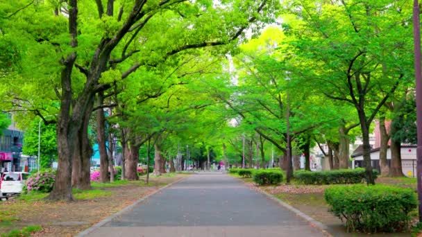 横滨最美的风景 — 图库视频影像