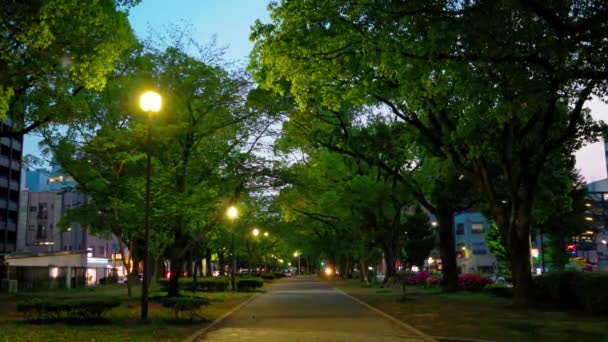 横滨最美的风景 — 图库视频影像
