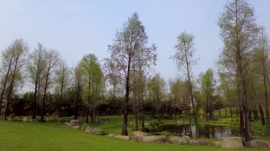 Toyko 'nun en iyi manzarası.